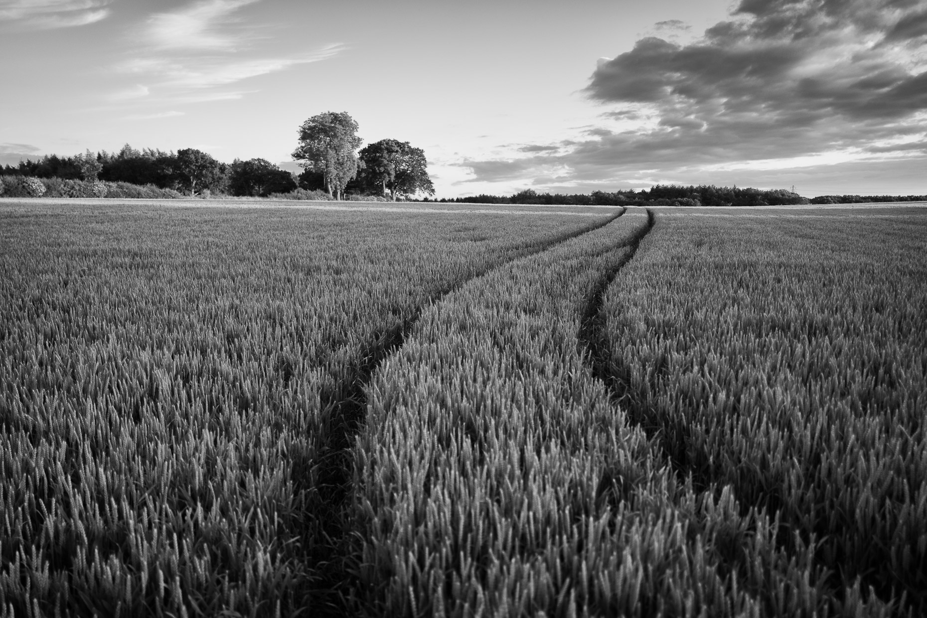 Newhall Farm 1